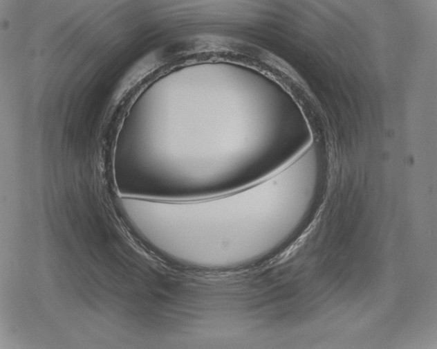 X0000080160826200612081025