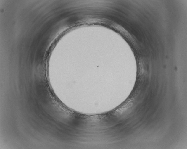 X0000080160828200612081025