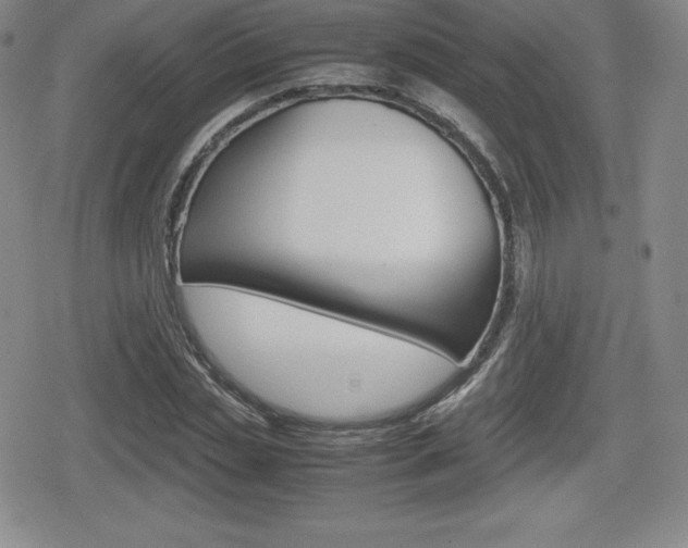 X0000080160829200612081025