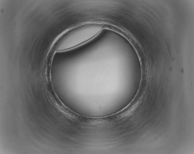 X0000080160830200612081025