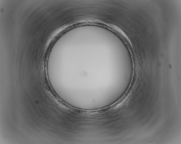 X0000080160831200612081025