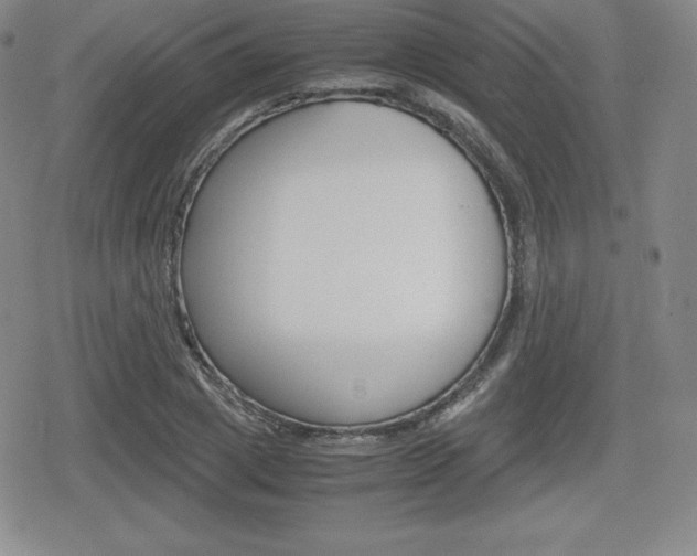 X0000080160833200612081025