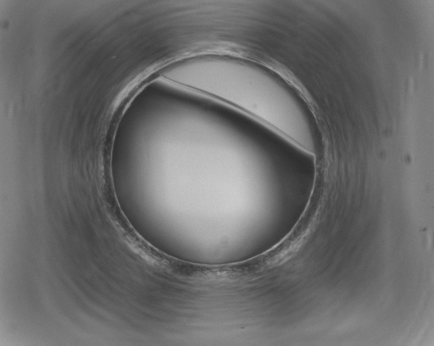 X0000080160834200612081025