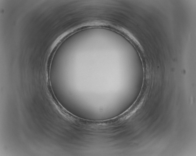 X0000080160837200612081025