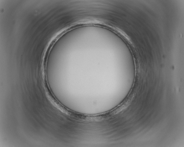X0000080160840200612081025