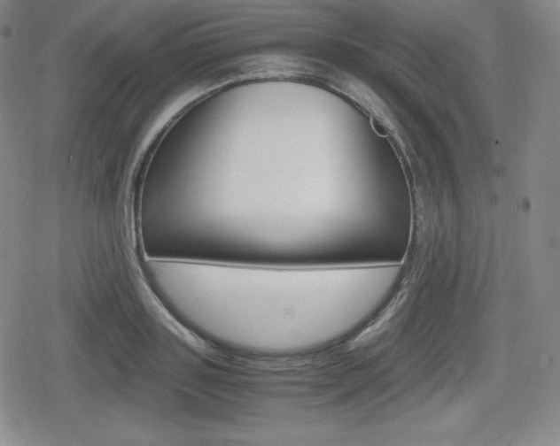 X0000080160843200612081025