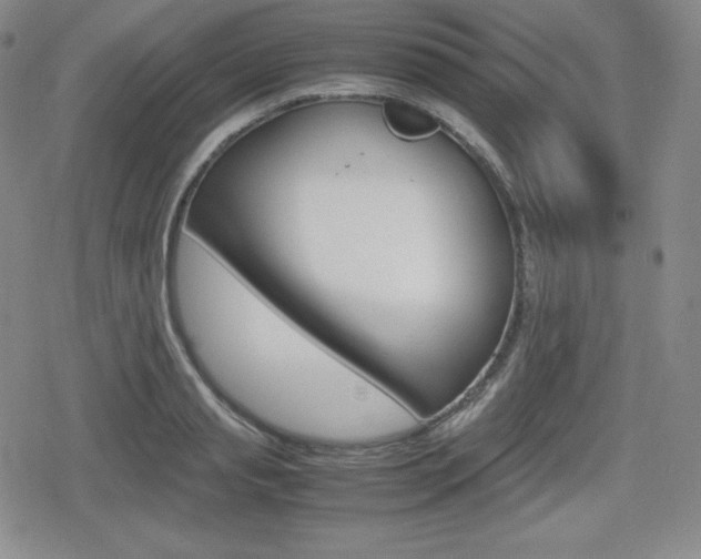 X0000080160845200612081025