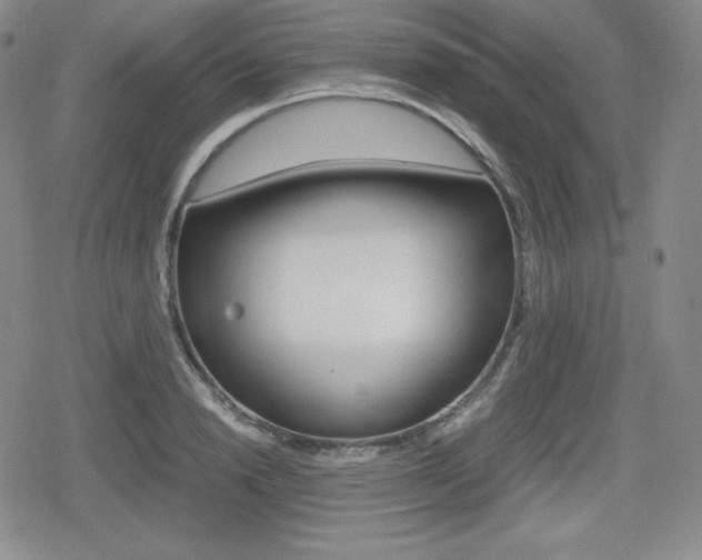 X0000080160846200612081025