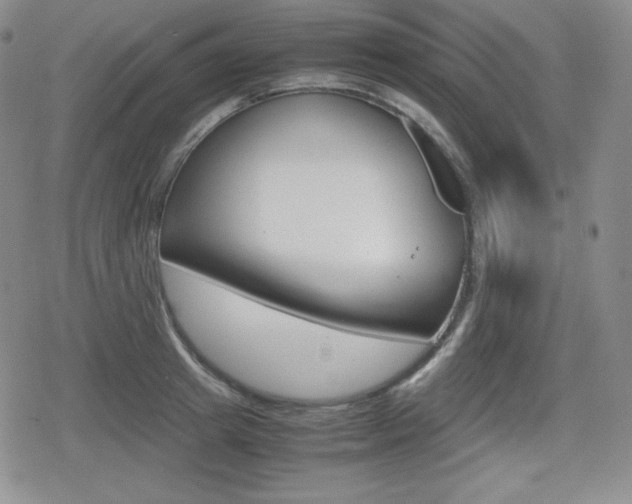 X0000080160849200612081025