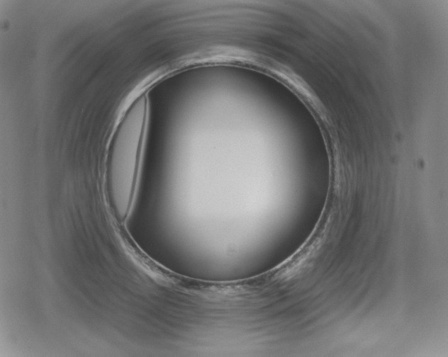 X0000080160850200612081025