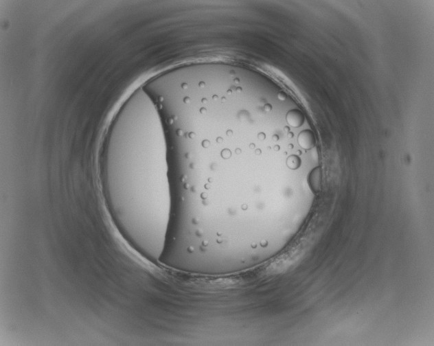X0000080160851200612081025