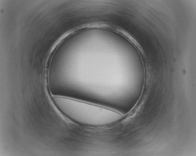 X0000080160853200612081025