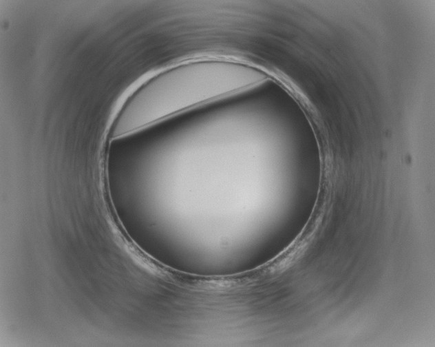 X0000080160854200612081025