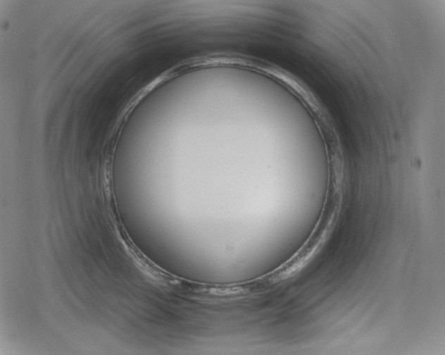 X0000080160857200612081025