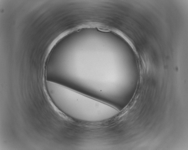 X0000080160861200612081025