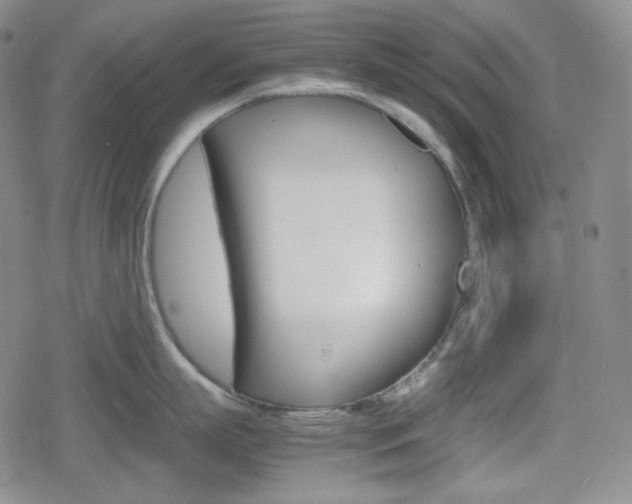 X0000080160863200612081025