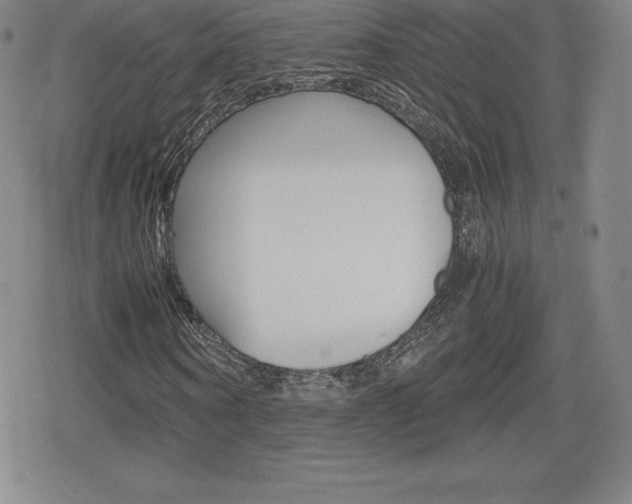 X0000080160866200612081025