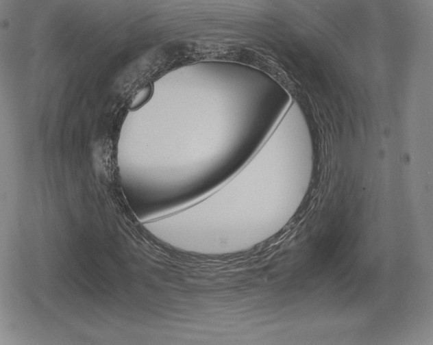 X0000080160867200612081025