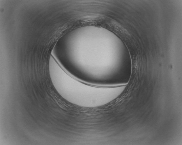 X0000080160868200612081025