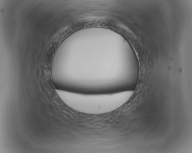 X0000080160869200612081025