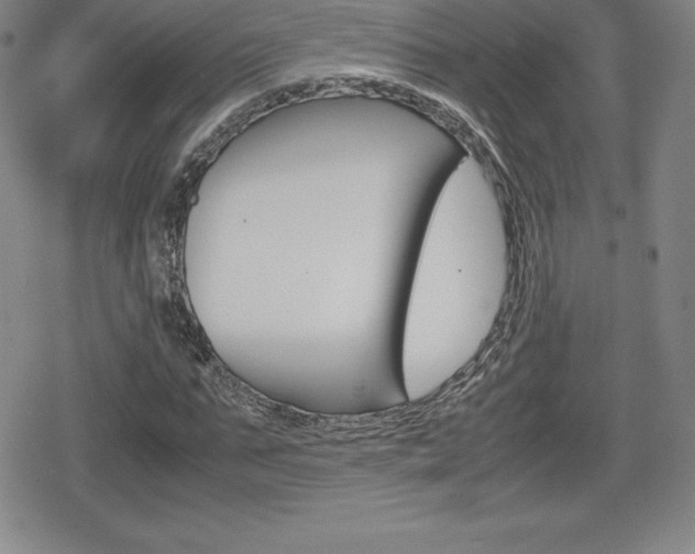 X0000080160871200612081025