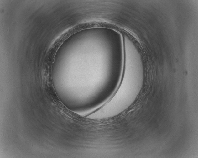 X0000080160872200612081025