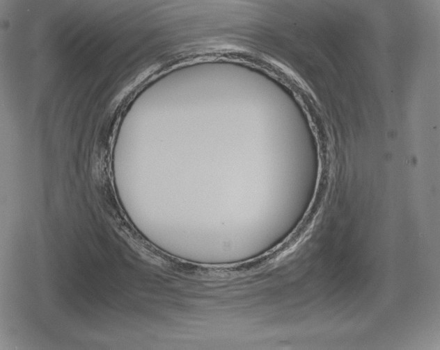 X0000080160873200612081025