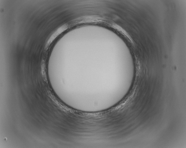 X0000080160874200612081025