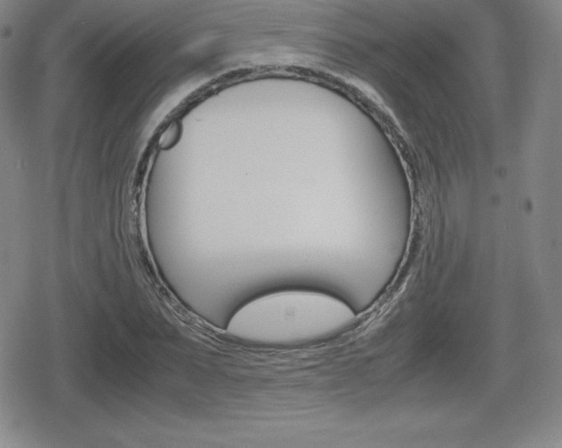 X0000080160879200612081024
