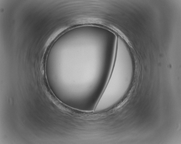 X0000080160885200612081024