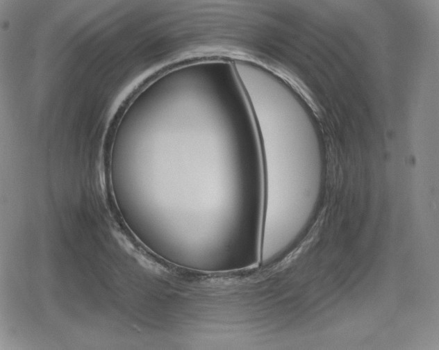 X0000080160888200612081024
