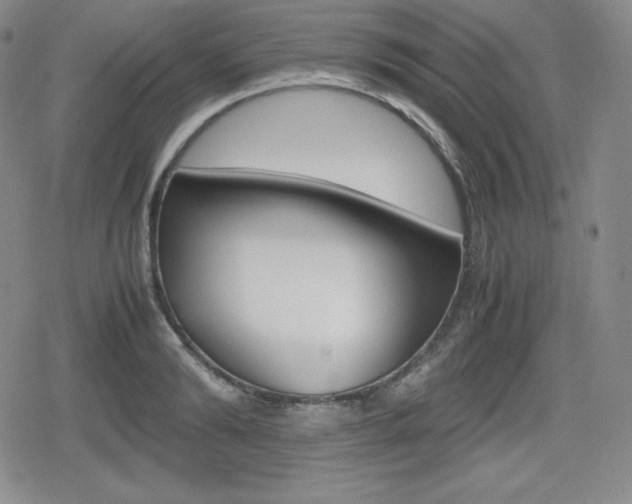 X0000080160894200612081024
