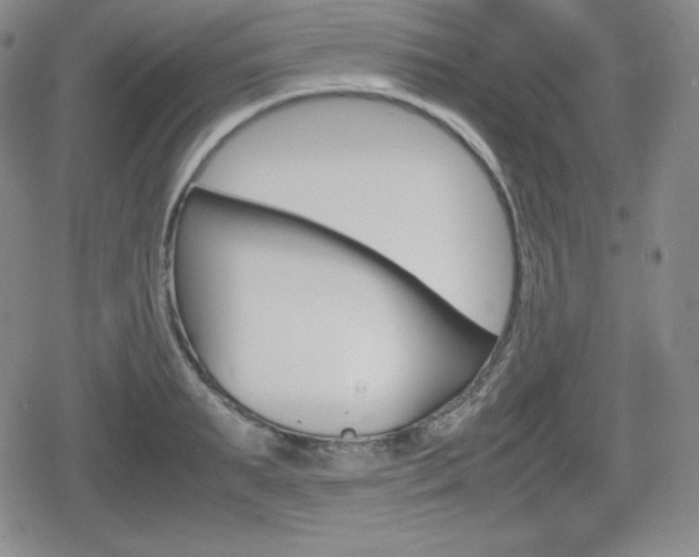 X0000080160895200612081024