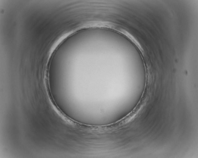 X0000080160901200612081024