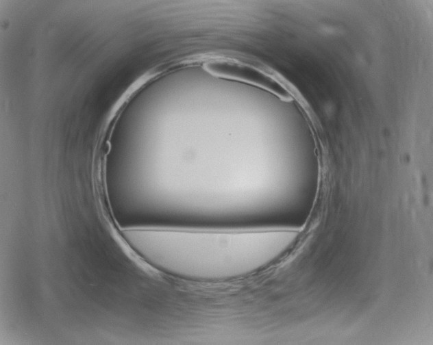 X0000080160909200612081024
