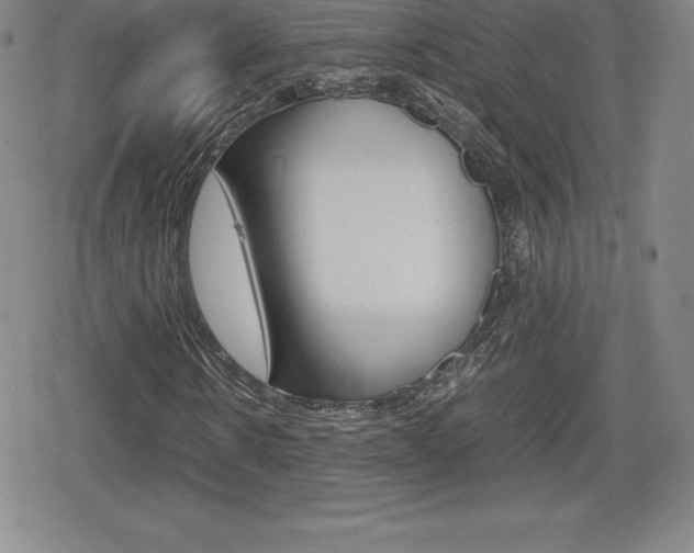 X0000080160914200612081023