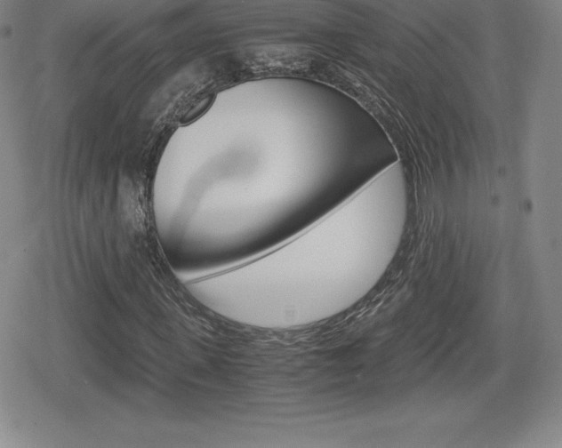 X0000080160915200612081023