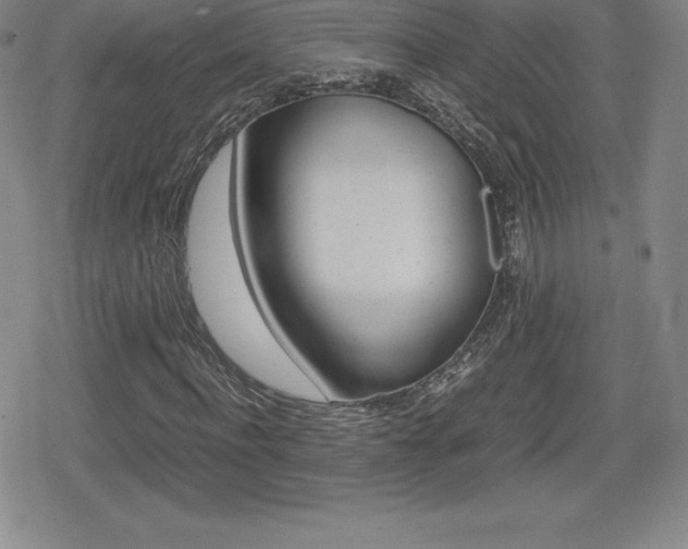 X0000080160916200612081023