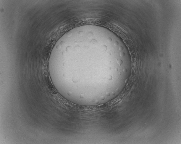X0000080160917200612081023