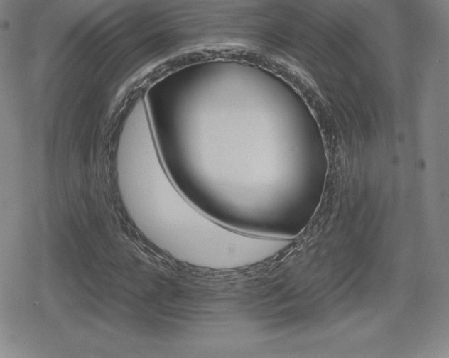 X0000080160920200612081023