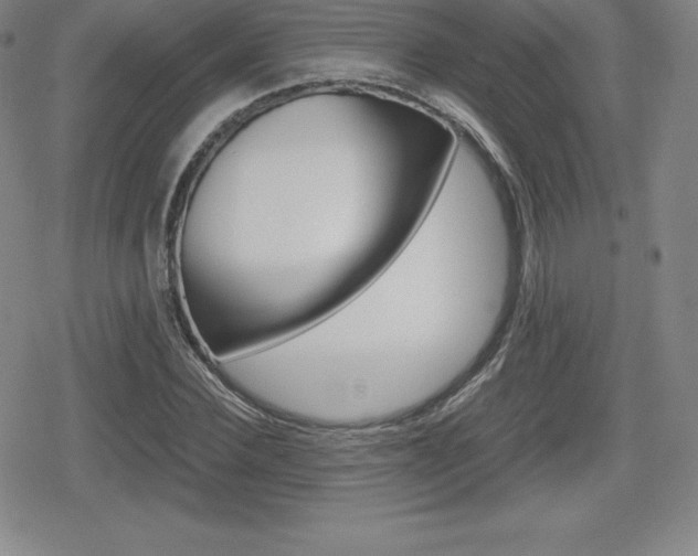X0000080160924200612081023