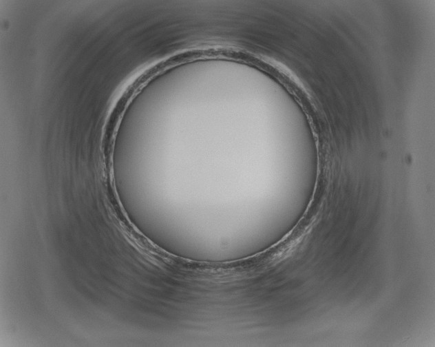 X0000080160927200612081023