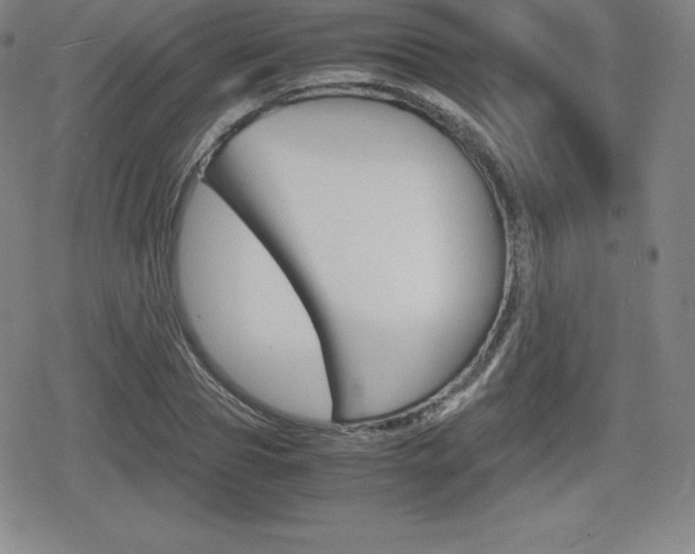 X0000080160929200612081023