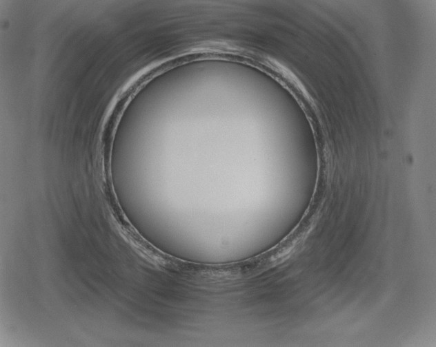 X0000080160931200612081023