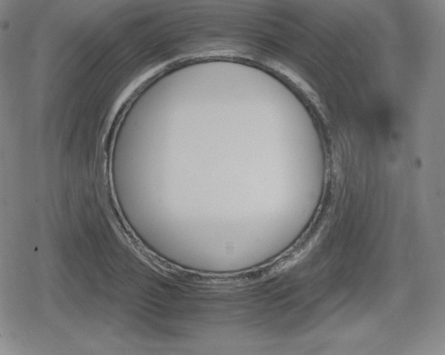 X0000080160933200612081023