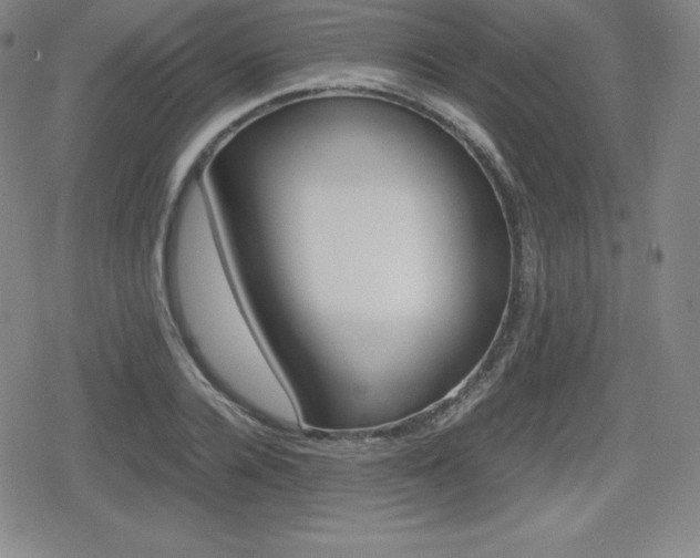 X0000080160936200612081023