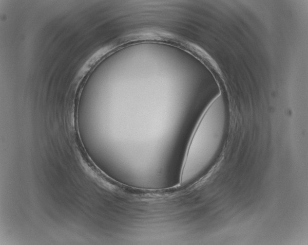X0000080160938200612081024