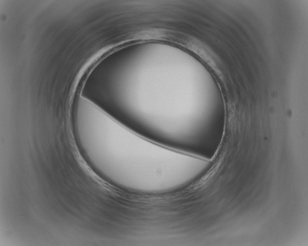 X0000080160939200612081024
