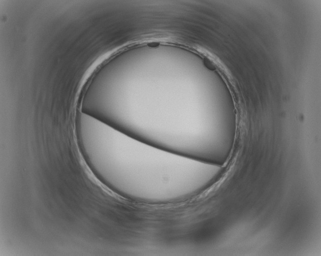 X0000080160941200612081024