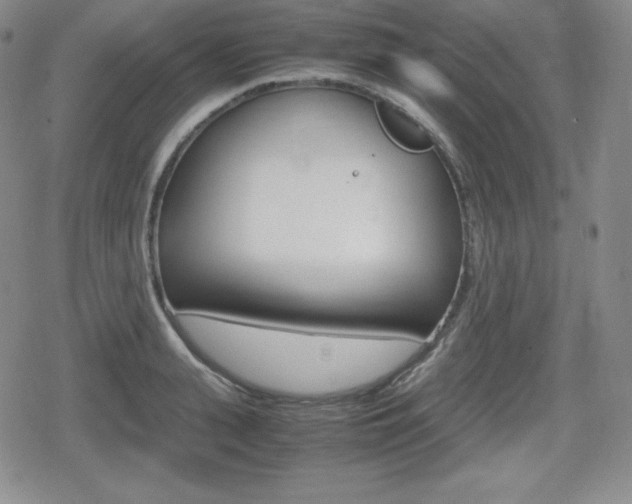 X0000080160943200612081024